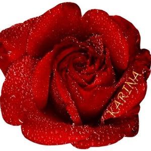 Meet your Posher, Karina